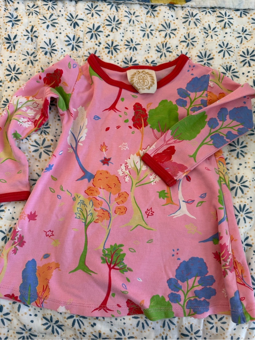 TBBC Polly dress 12-18 months
